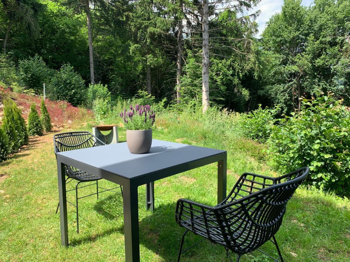 Moderne Wohnung Im Gruenen Mit Privatem Garten Donaueschingen Esterno foto